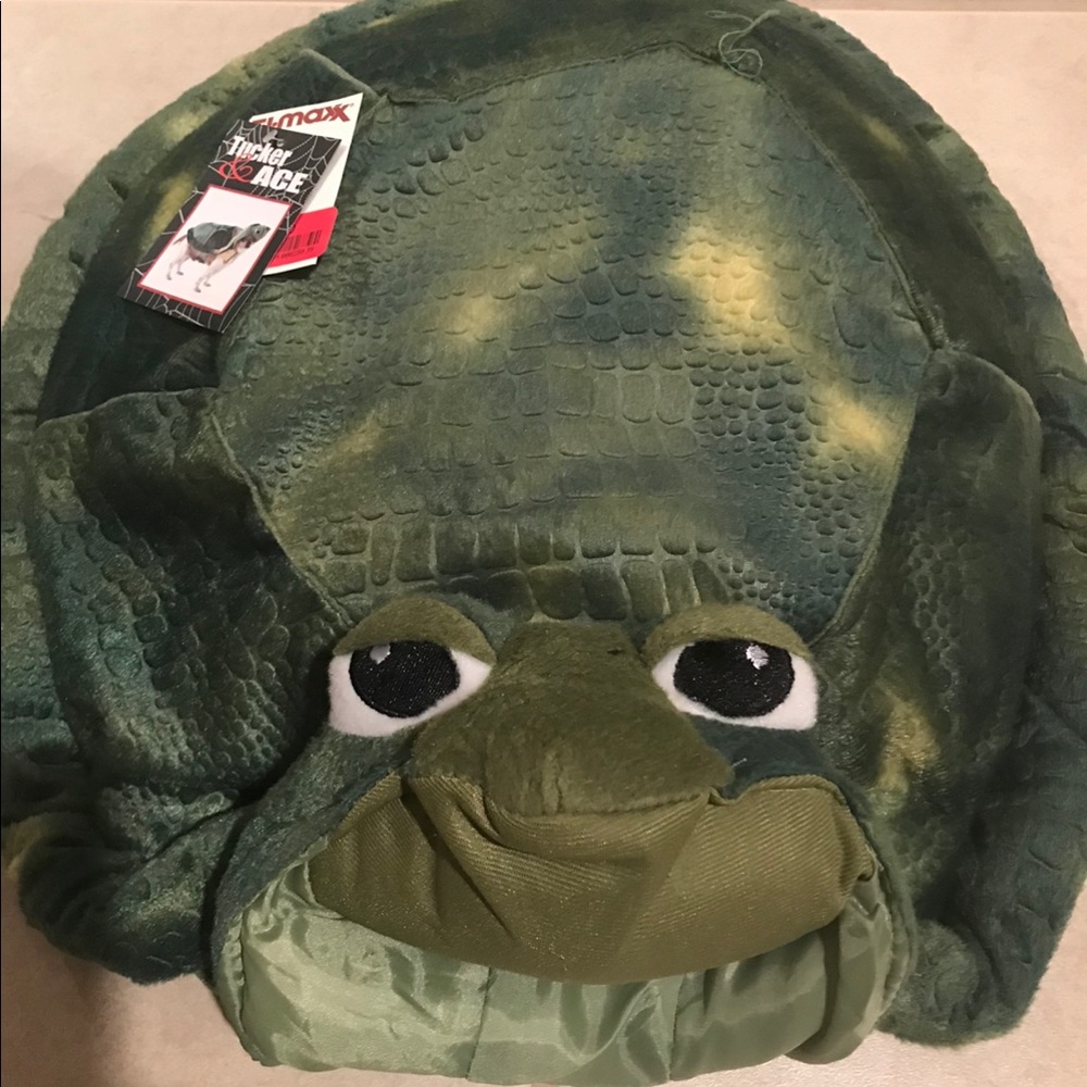 - Turtle dog costume